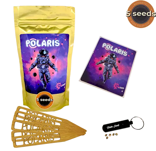 Polaris cannabis seeds 5pc package by NukaSeeds