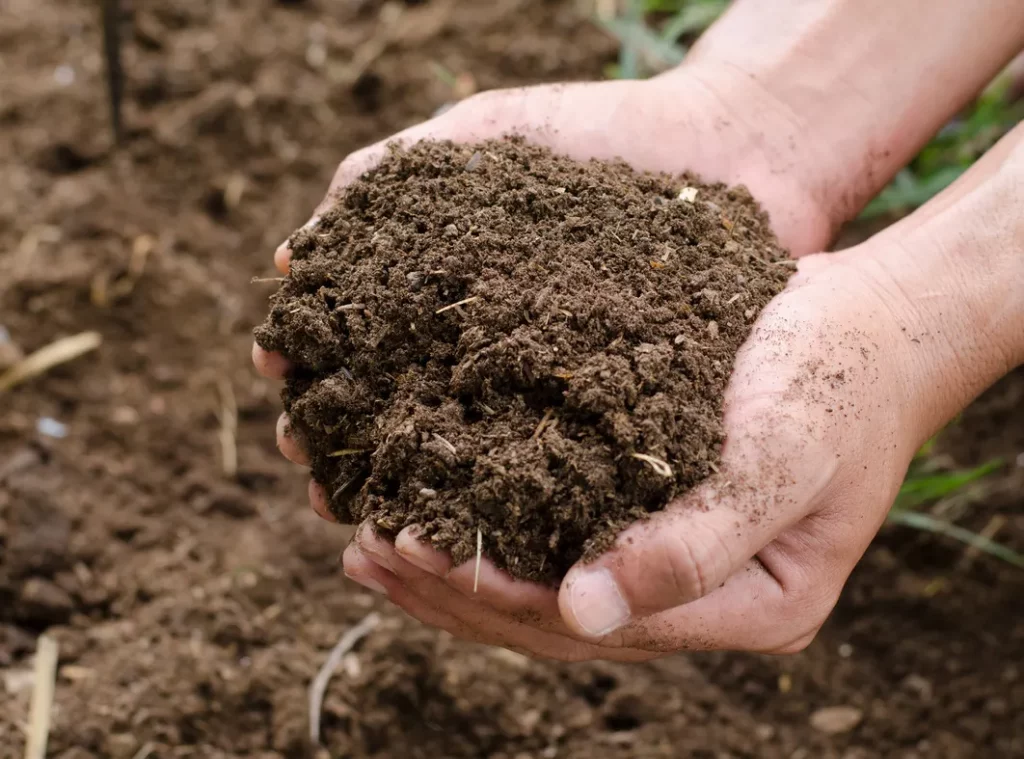 Verwendung von Nährstoffen