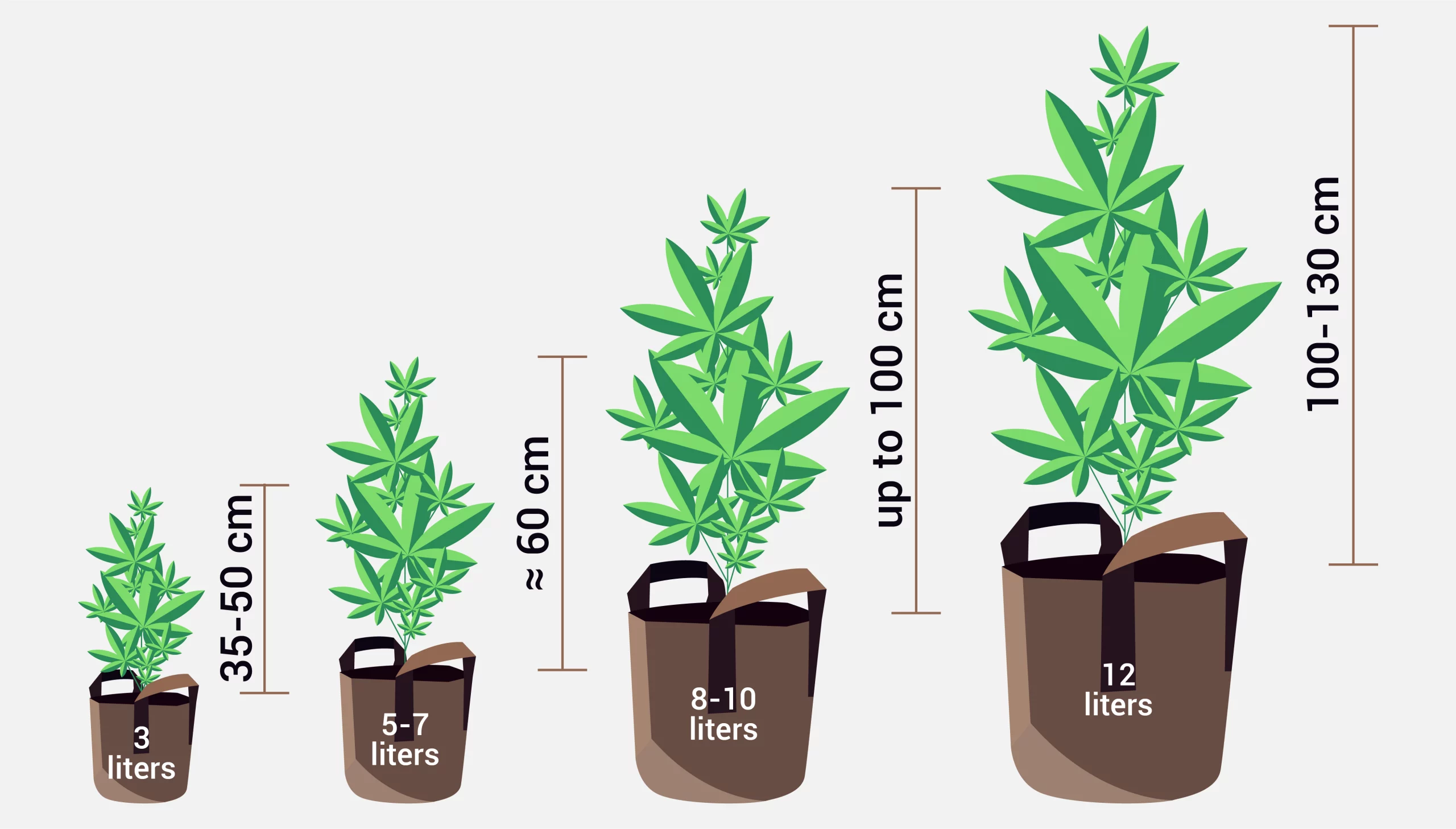 Different sizes of pots for cannabis
