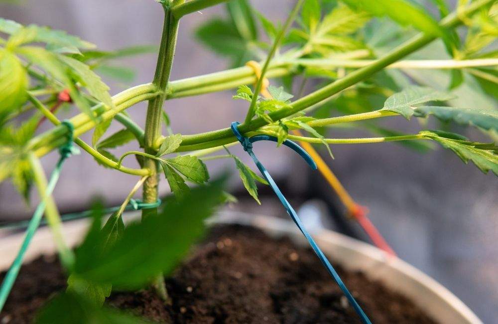 technika vázání a ohýbání