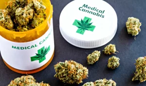 Nukaseeds medizinische Cannabis-Knospen