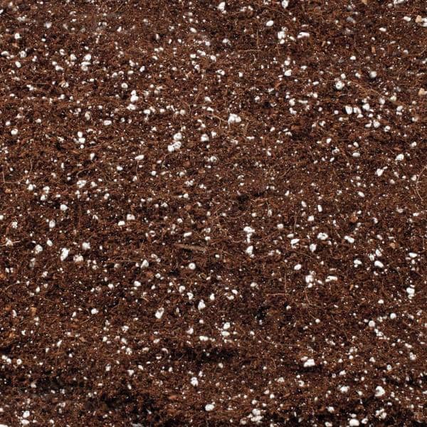 Coco coir and perlite - best cannabis growing medium?
