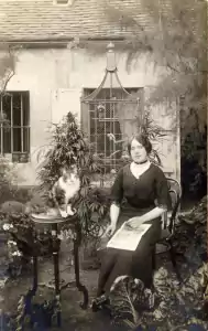 Nukaseeds woman cat and cannabis plant