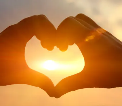 die Sonne scheint auf den Cannabis