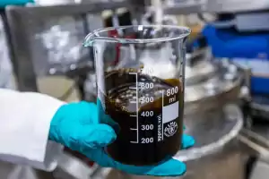 nukaseeds starkes cbd-extrakt