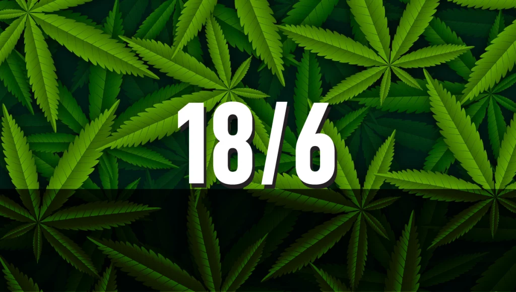 18/6 světelný cyklus