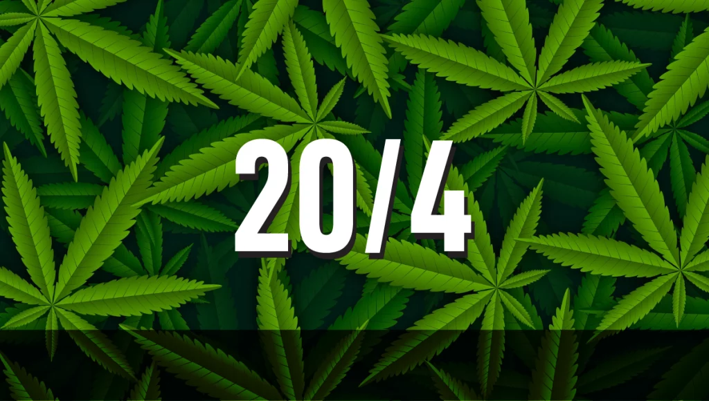 20/4 světelný cyklus