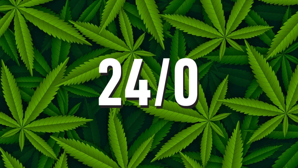 24 světelný cyklus