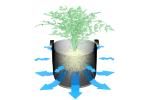 Air pruning to textile pot
