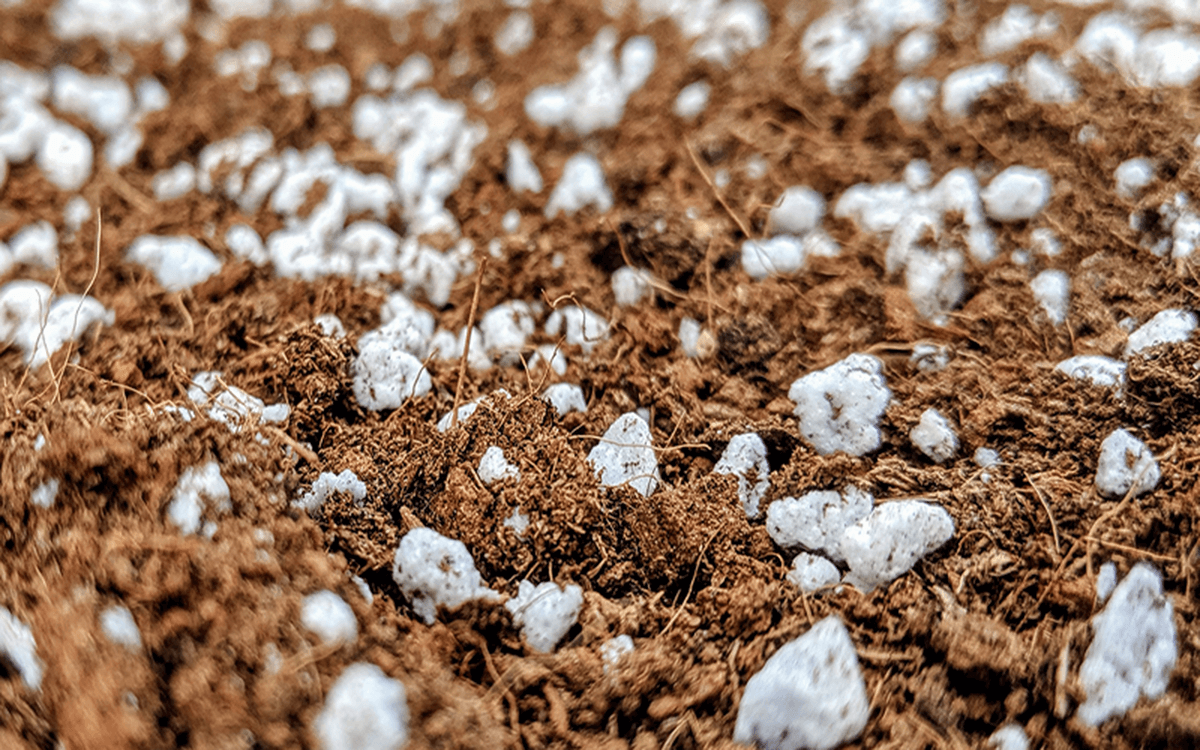 perlite and coconut substrate