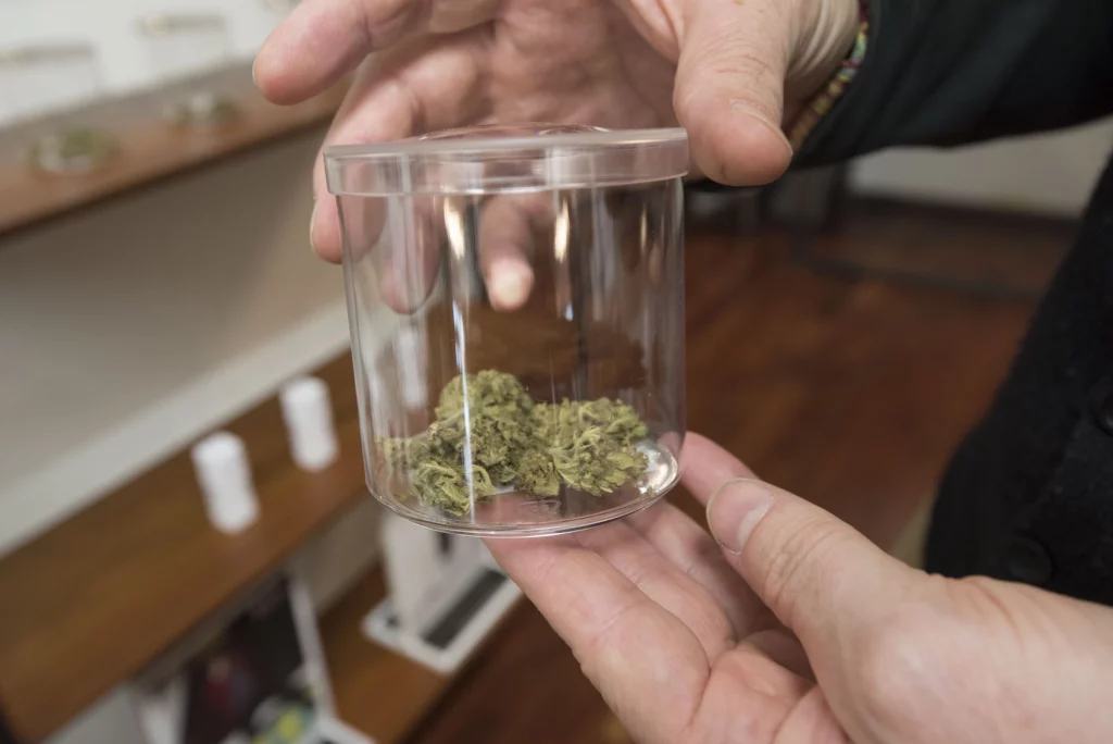 Knospen im Plastikgefäß