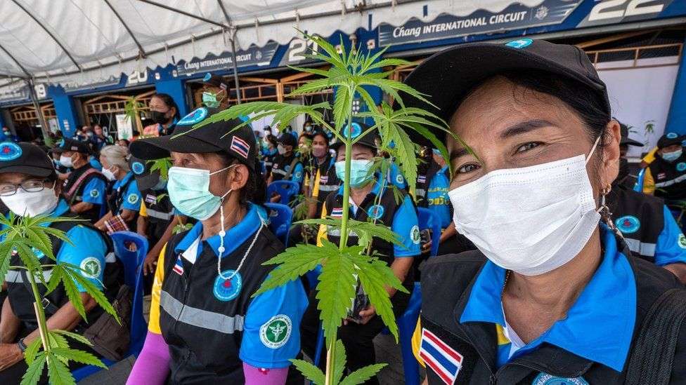 Featured image for “Thajský zákonodárci legalizují konopí a propouští 2 958 vězňů”