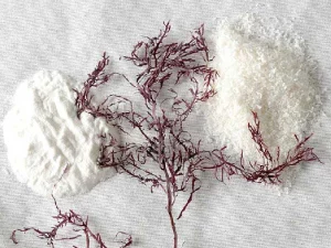 Agaragar-Ersatz für Gelatine