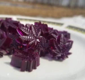 Zarte gummiartige Cannabisblätter