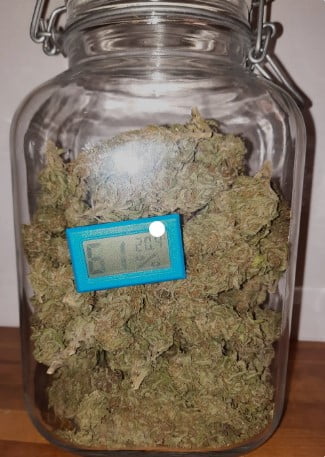 Gläser zum Trocknen von Marihuana-Blüten