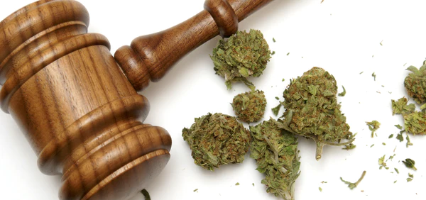 Thailändische Gesetzgebung Legalisierung von Cannabis