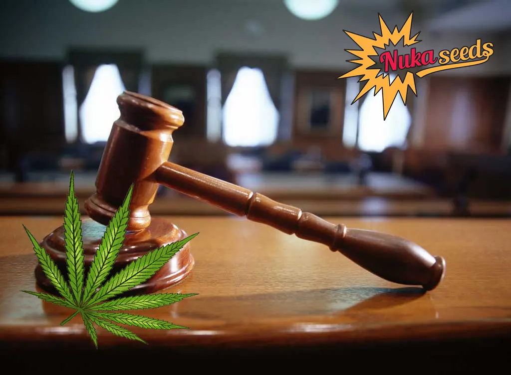 Richter mit Cannabis