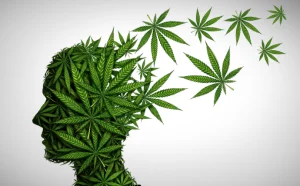 leaf head marijuana and depression