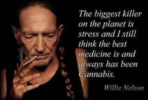 Willie Nelson marijuana and depression