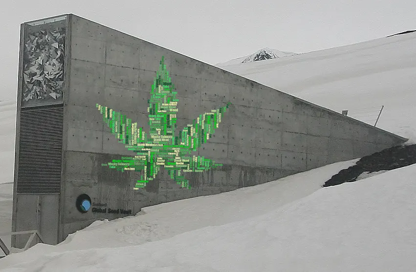 Saatgutlagerung in Norwegen