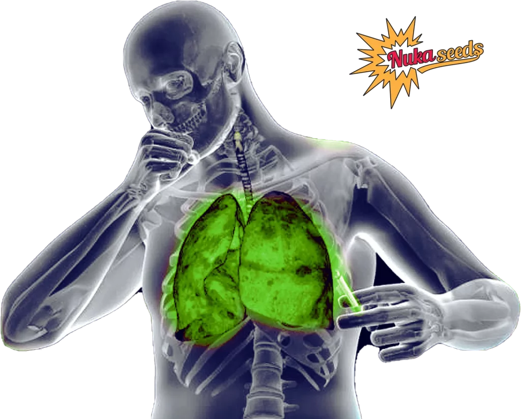 Cannabisrauch in der Lunge