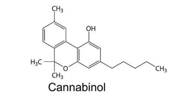 Featured image for “What is Cannabinol – CBN”