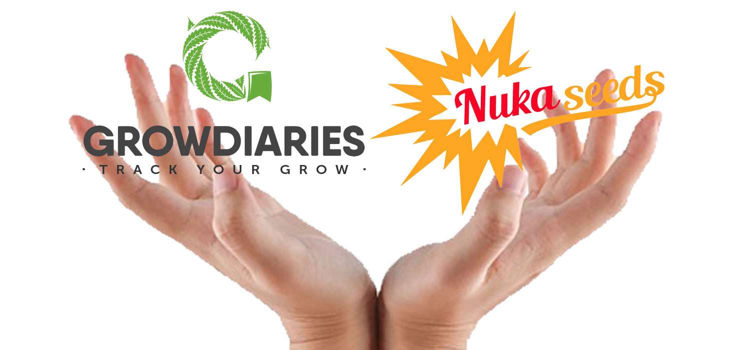 Featured image for “Semena konopí od společnosti Nuka seeds jsou nyní uvedena na Growdiaries.com”