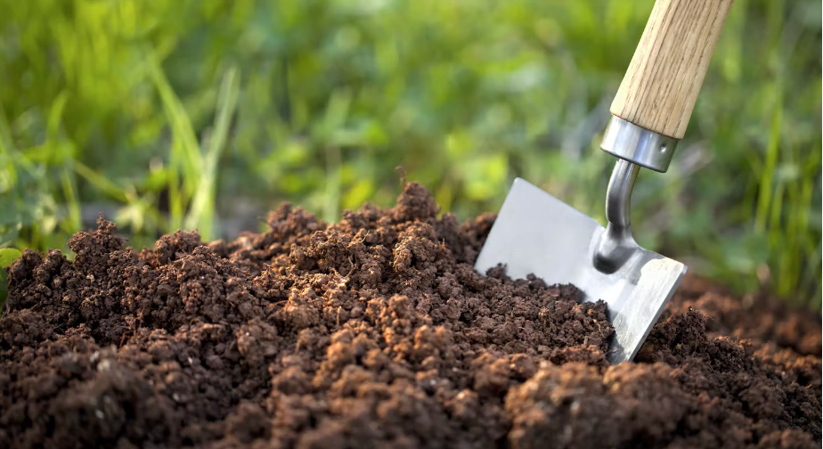 Featured image for “Jak připravit půdu pro venkovní pěstování konopí”