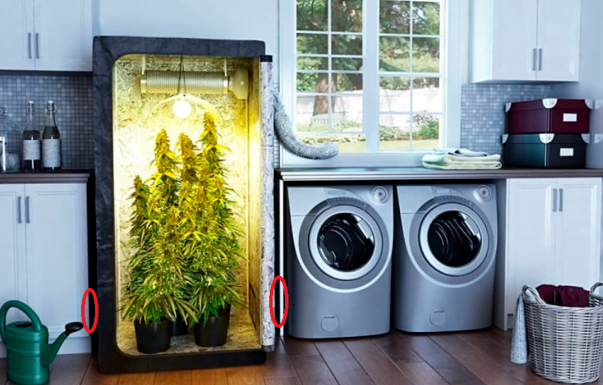 Marihuana-Growbox in der Küche