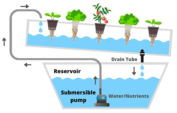 NFT hydroponic system scheme