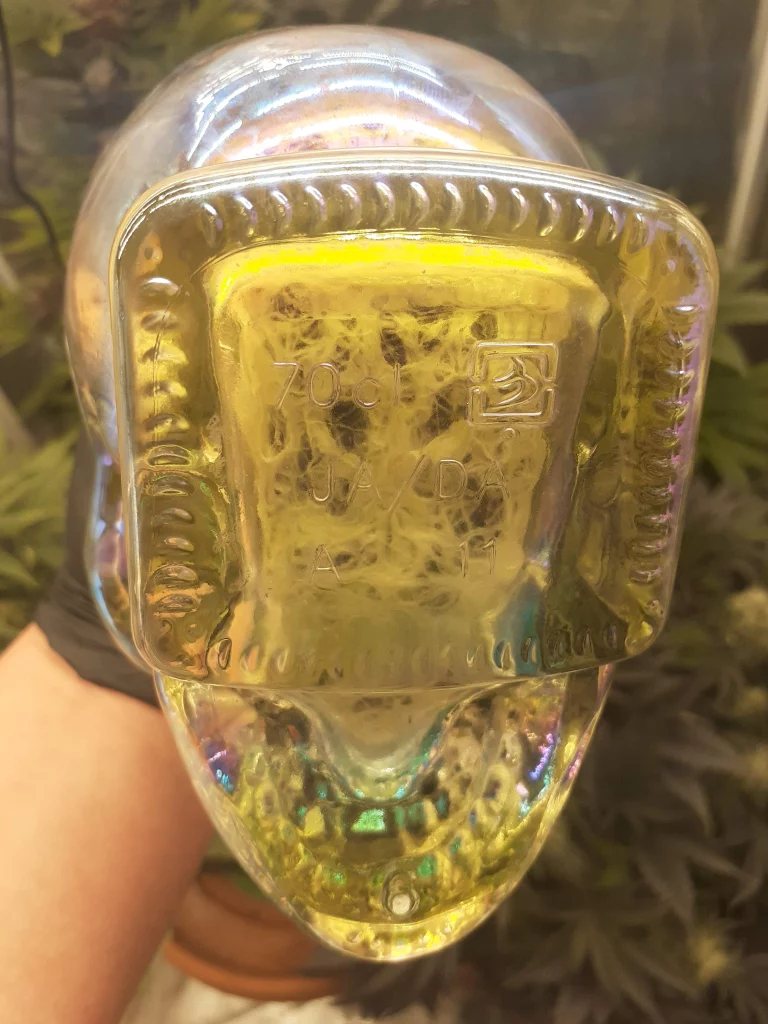 Kristallschädel mit Wurzeln von Nuka-Samen Polaris