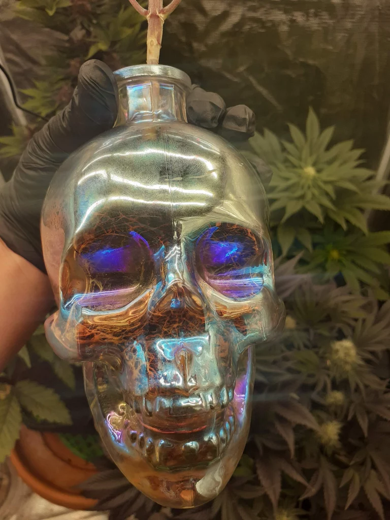 Kristallschädel mit Stiel von Nuka Polaris