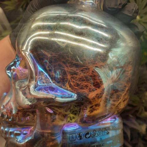 Kristallschädel mit Wurzeln Polaris Nukaseeds