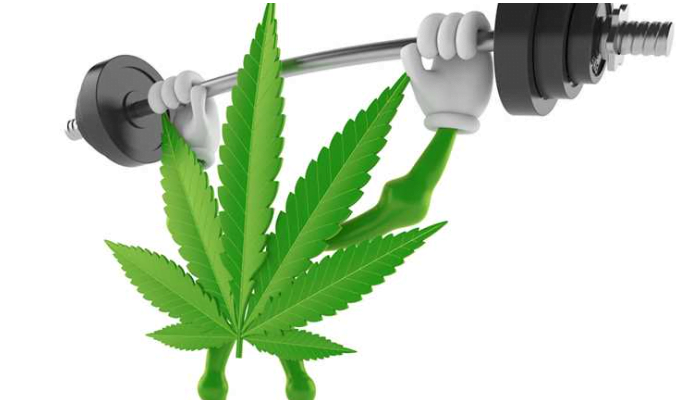 stroong cannabis leaf
