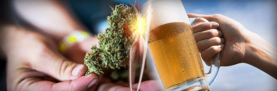 Cannabis und Alkohol - Cannabis gegen Bier
