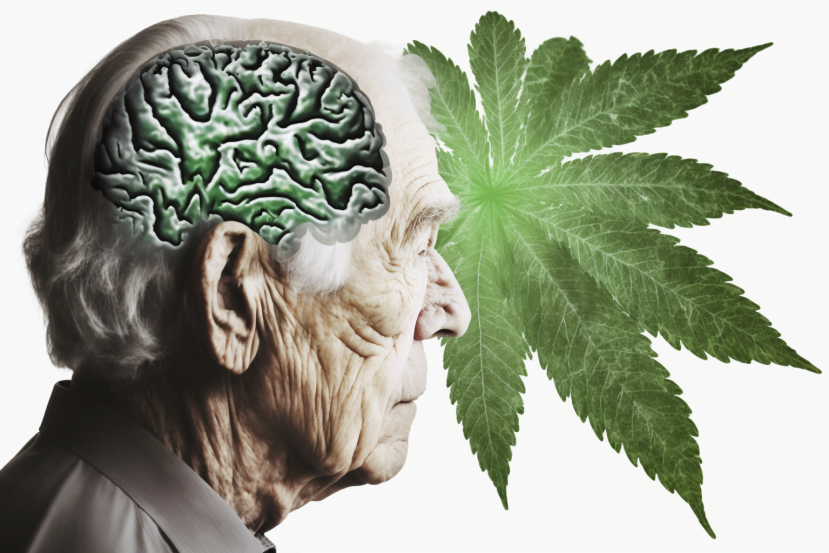 5 ways cannabis can help with Alzheimer's disease