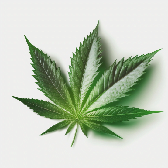 list konopí indica