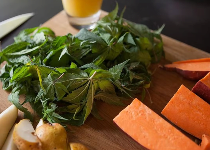 Smoothie ze syrových konopných listů, sladkých brambor a hrušek