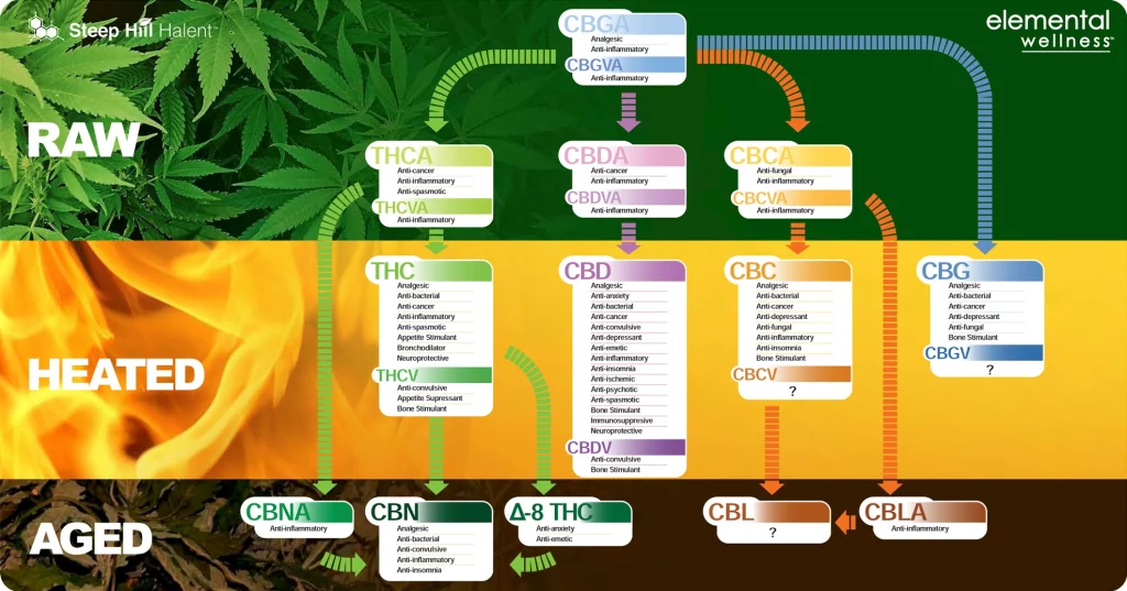 formy použití kanabinoidů - Recept na konopné smoothie