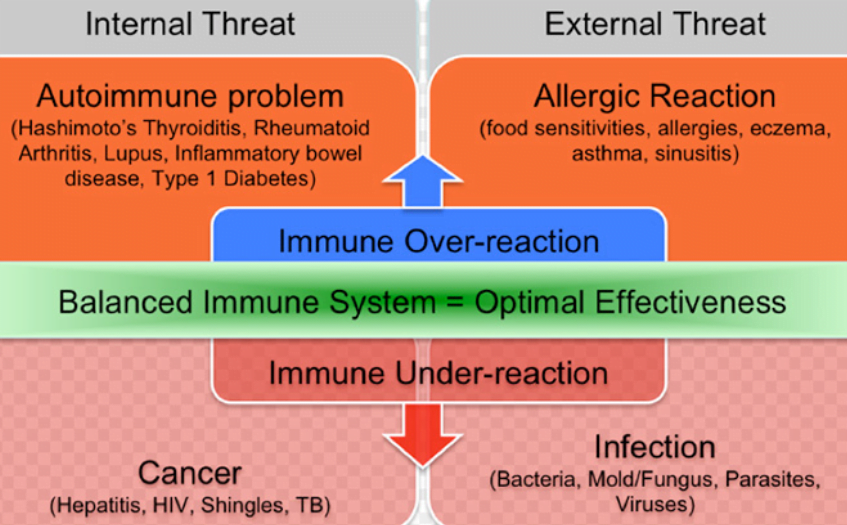 optimální imunitní systém Jak kanabinoidy ovlivňují imunitní systém v našem těle?