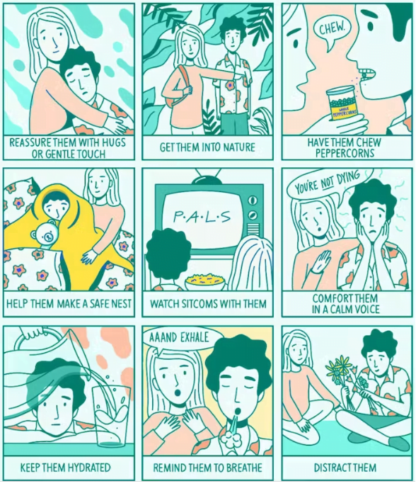 What to do when a friend gets too high