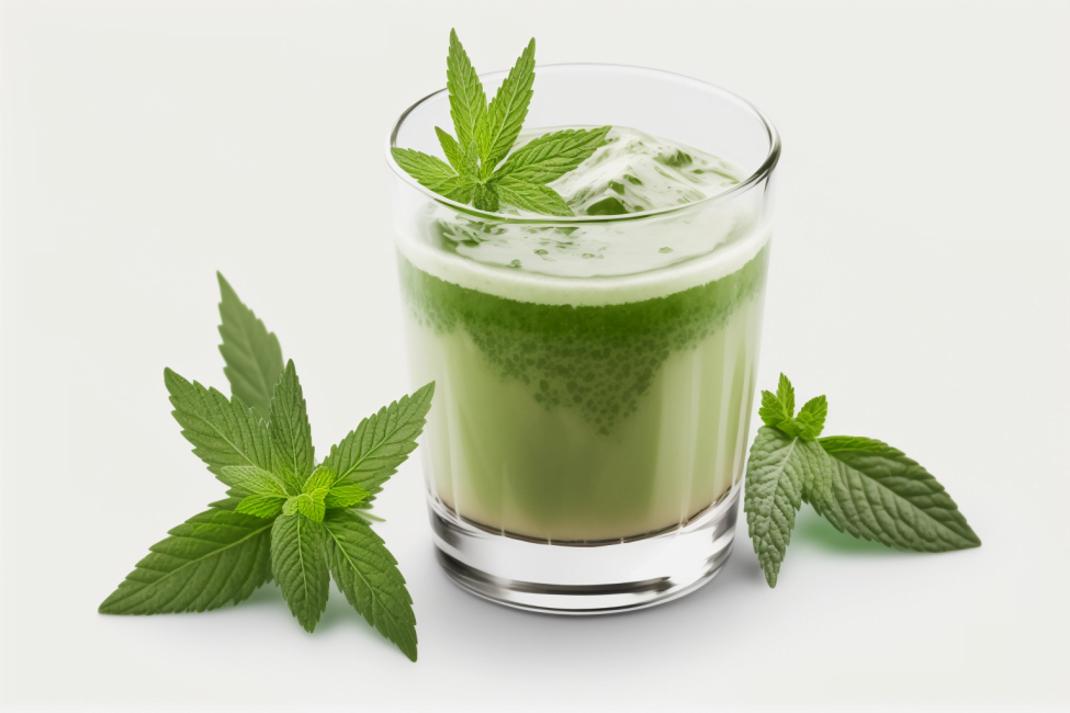 Cannabis Entsaften - frische Minze