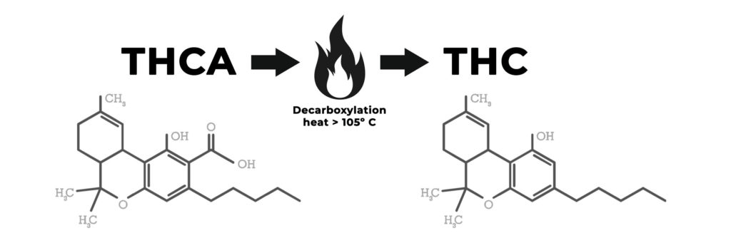 How to decarboxylation cannabis - The ideal temperature for decarboxylation starts at 250 °F (121.1 °C)
