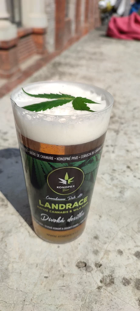 Wir mussten ein lokales Bier probieren