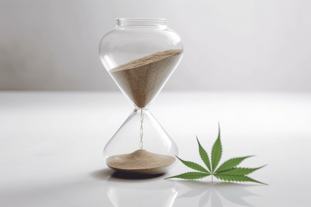 Cannabis in der Neuzeit