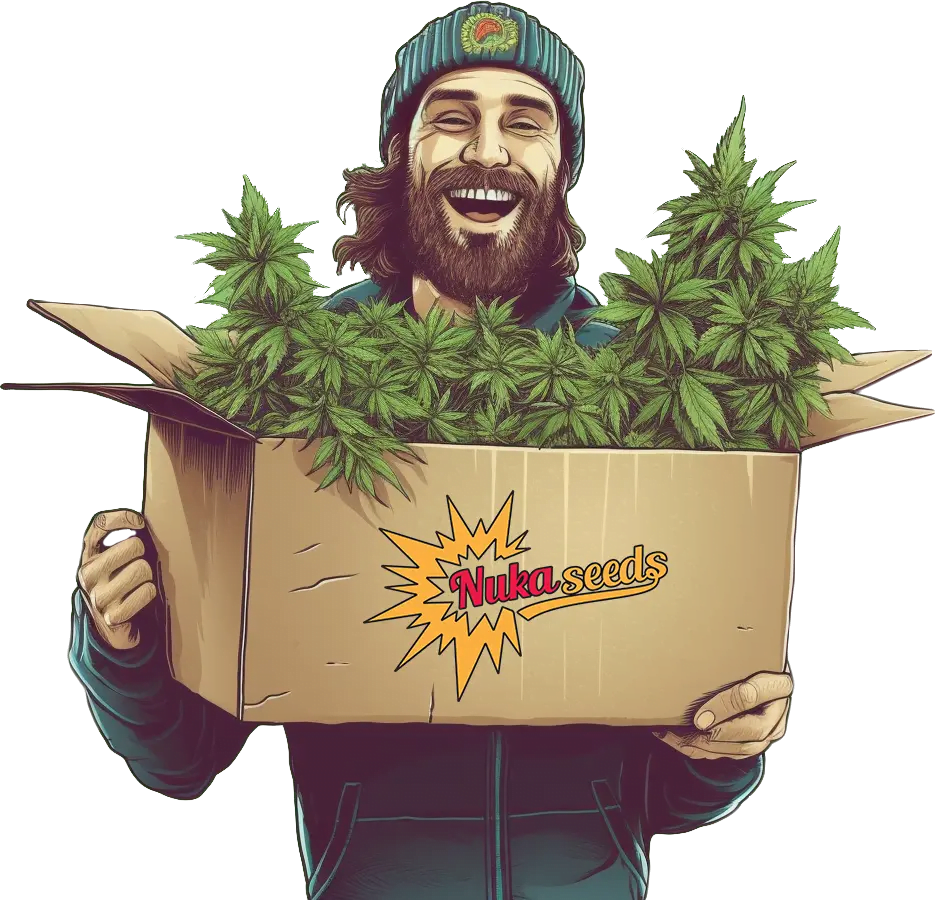 Benefits of Cannabis and a Vegan Diet  - cannabis seeds