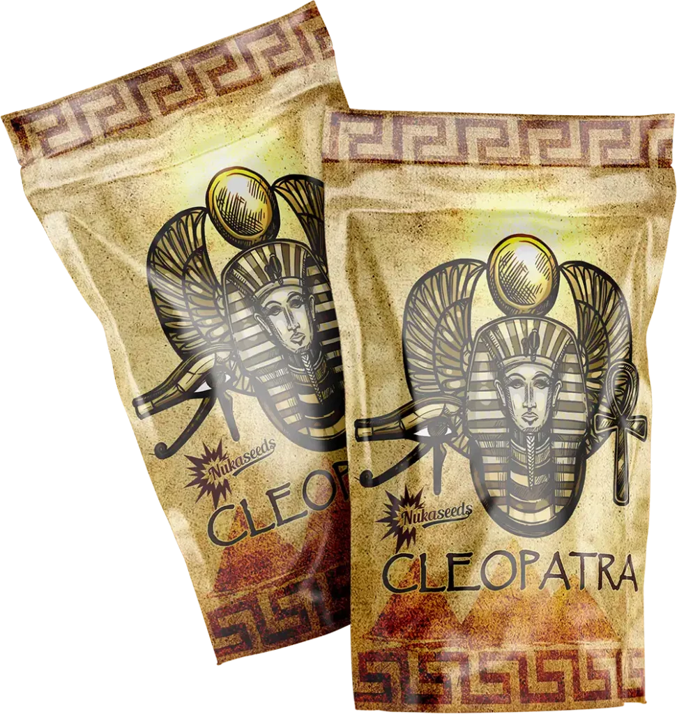 Semínka konopí Cleopatra - Nuka Seeds