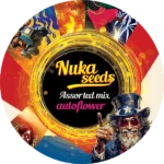Semínka konopí nuka - assorted mix autoflower