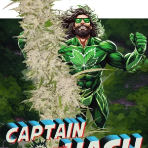 Semínka konopí Captain Hash