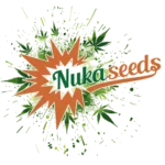 Nuka Seeds vyroba seminek konopi